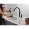 Delta Leland Single Handle Pull-Down Kitchen Faucet 978-BLWE-DST